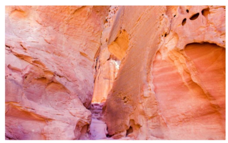 University of alabama international students image